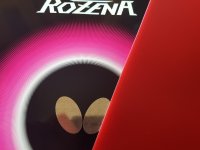 Butterfly Rozena Cover.jpg