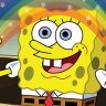 sponge