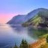 sourCream