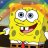 sponge