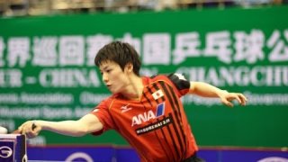 Harmony China Open 2013 Highlights: Kenta Matsudaira vs Wang Hao (Round 2)