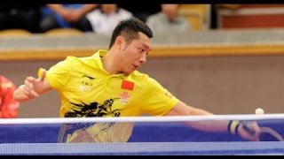 Swedish Open 2013 Highlights: Xu Xin vs Stephane Ouaiche