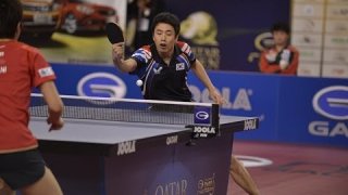 Qatar Open 2014 Highlights: Jun Mizutani vs Joo Se Hyuk