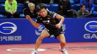 German Open 2014 Highlights: Wang Hao vs Masato Shiono (Round Of 32)