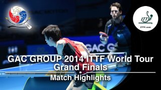 2014 World Tour Grand Finals: MIZUTANI Jun vs MENGEL Steffen (Round Of 1/4 )