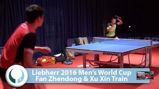 Fan Zhendong & Xu Xin Top To Top Training - World Cup 2016