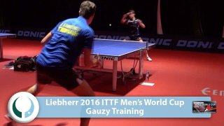 Simon Gauzy Training