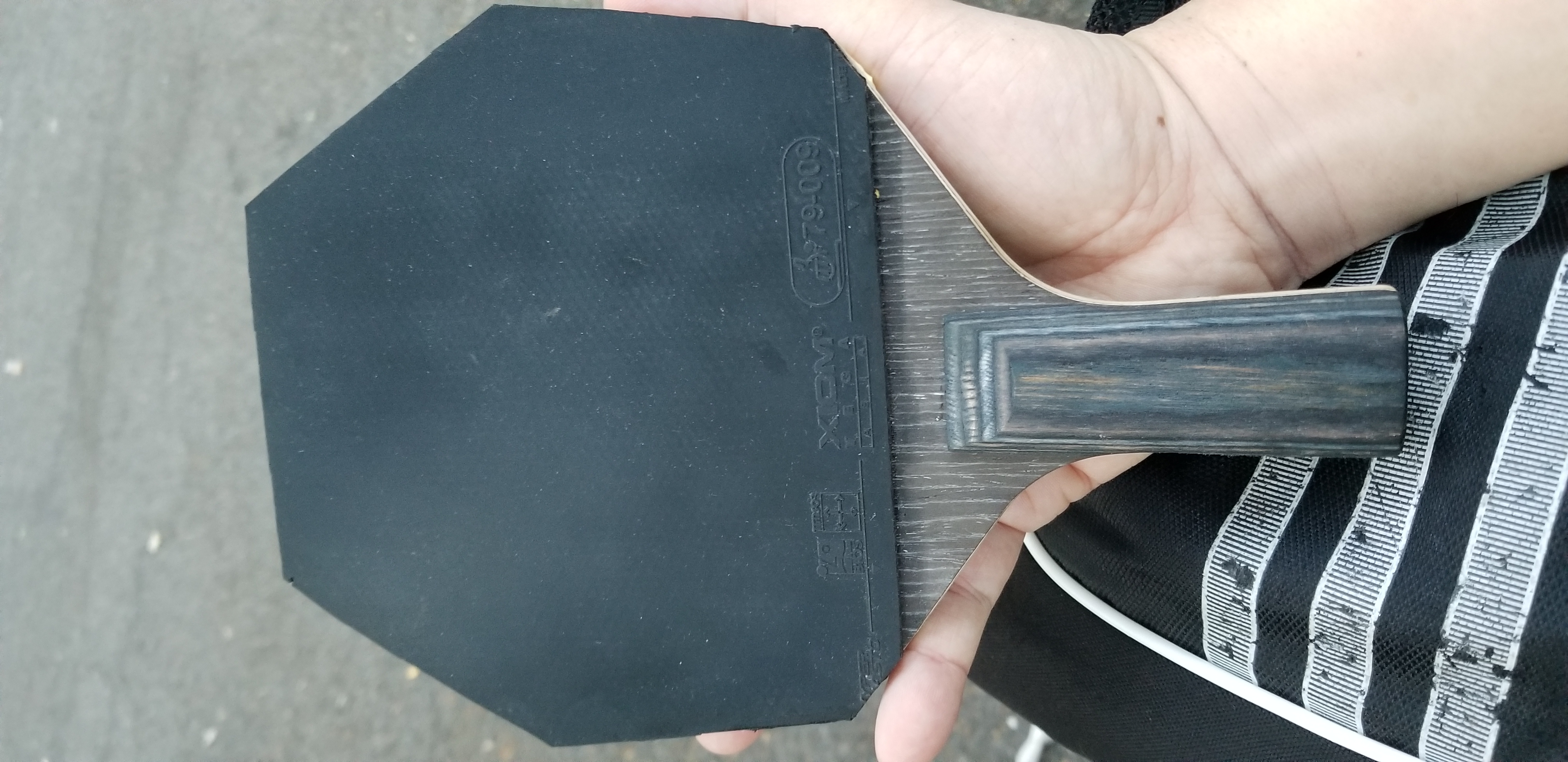 cshape%2020220625%20194718%20jpg.jpeg