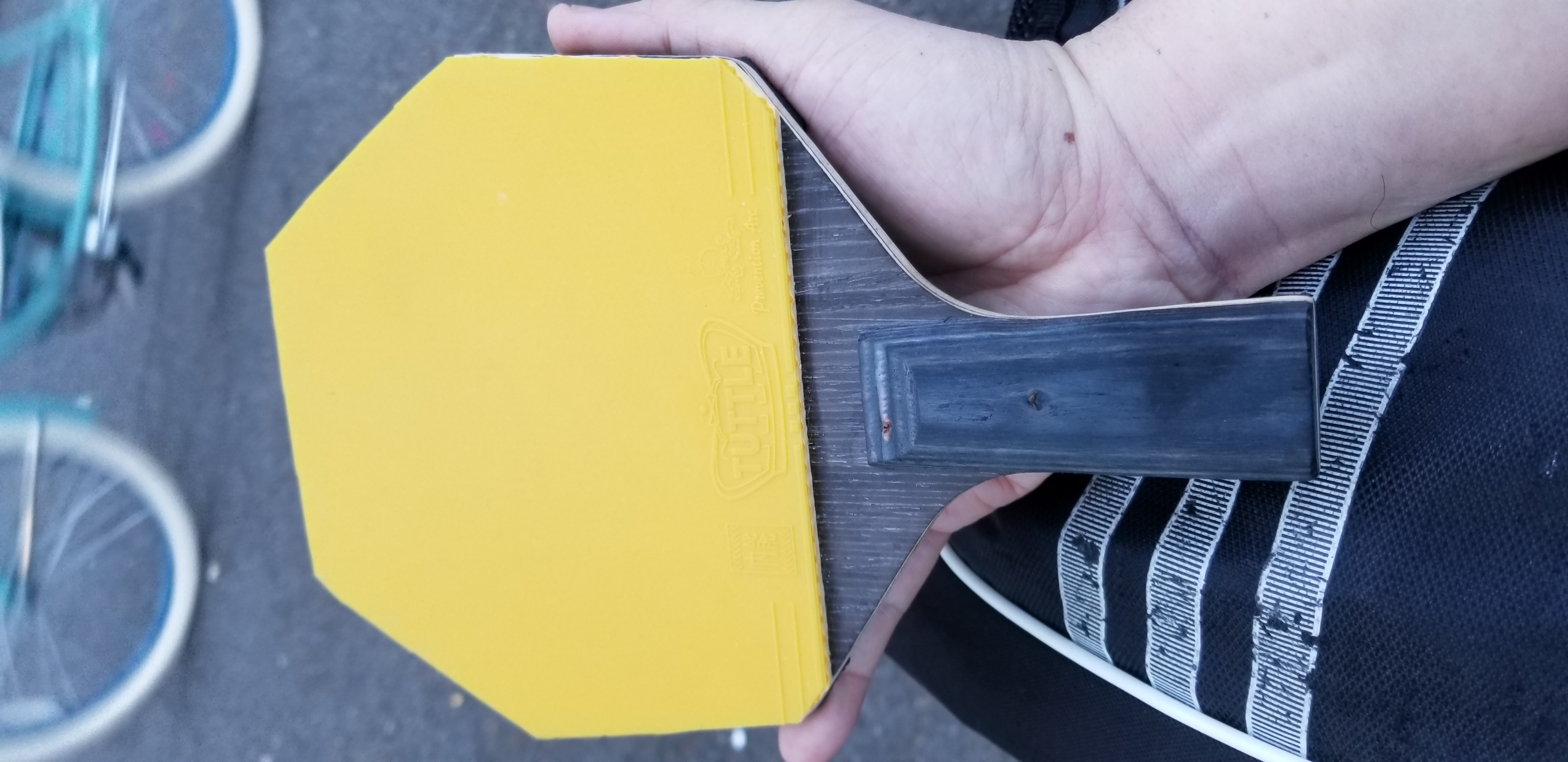 cshape%2020220625%20194727%20jpg.jpeg