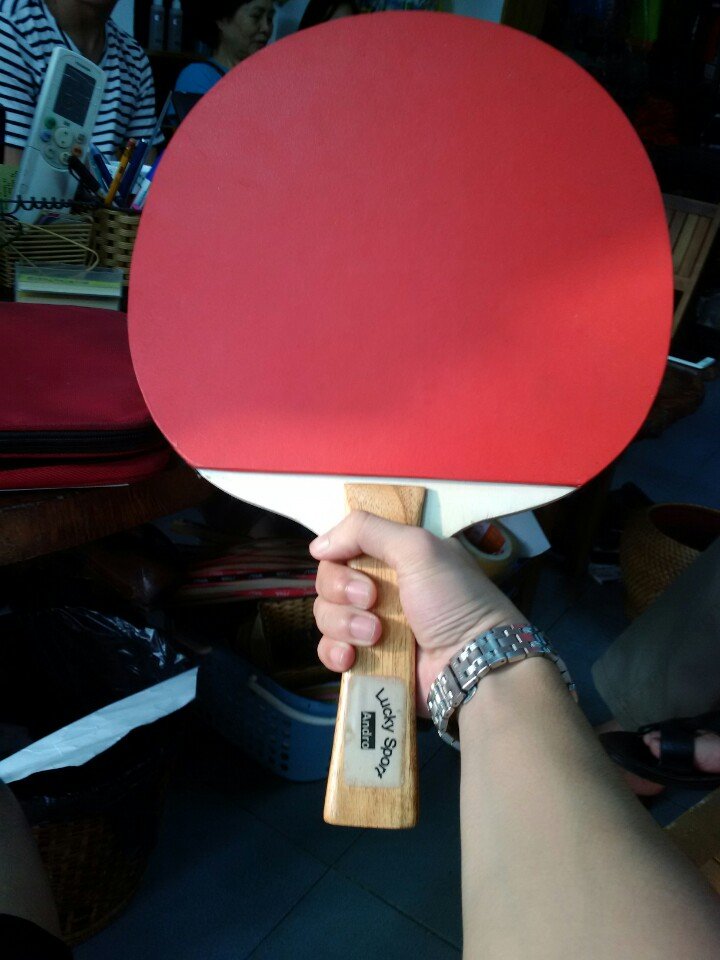 Help !!!! I need a large blade | TableTennisDaily