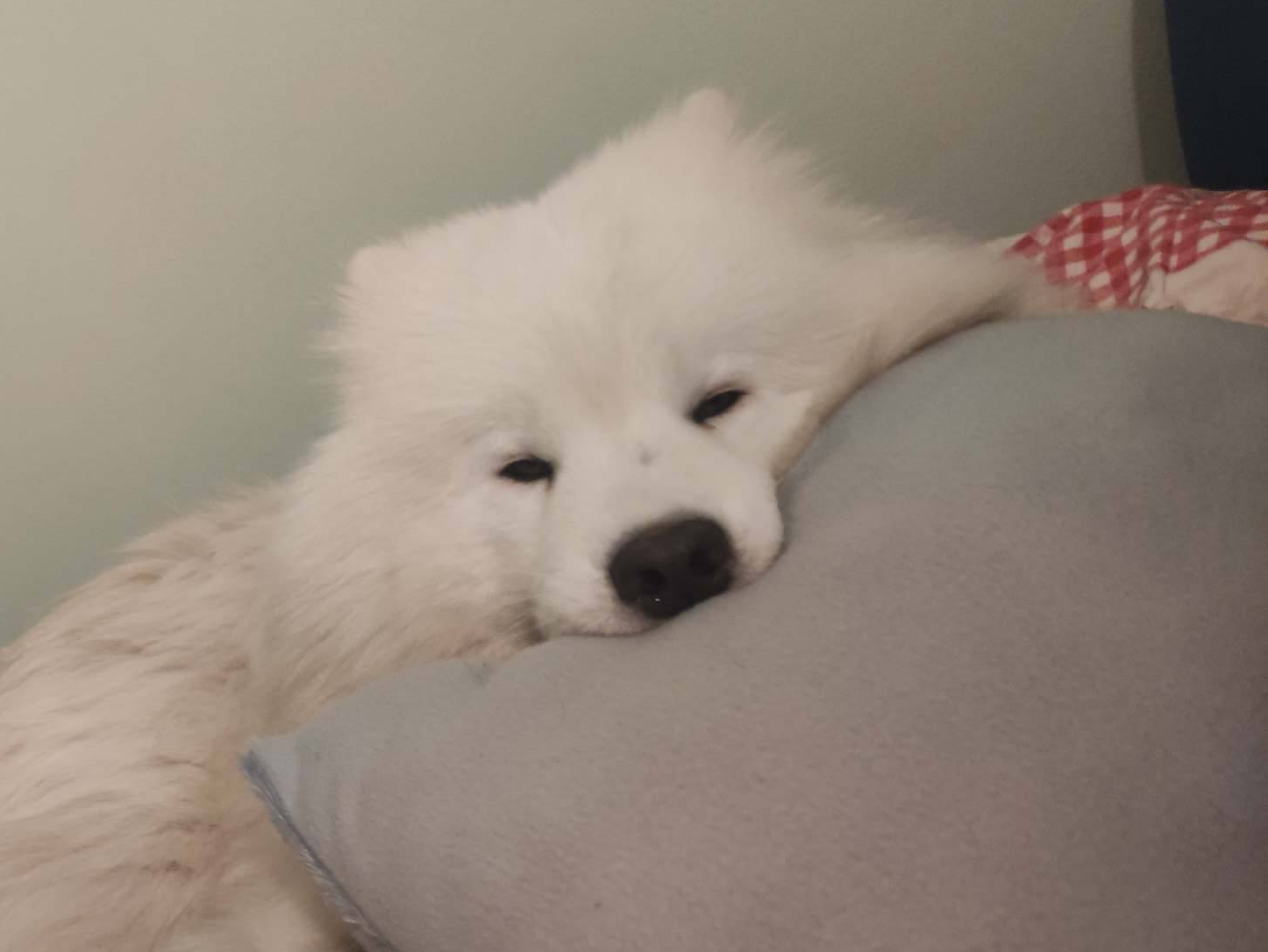 image__01.png