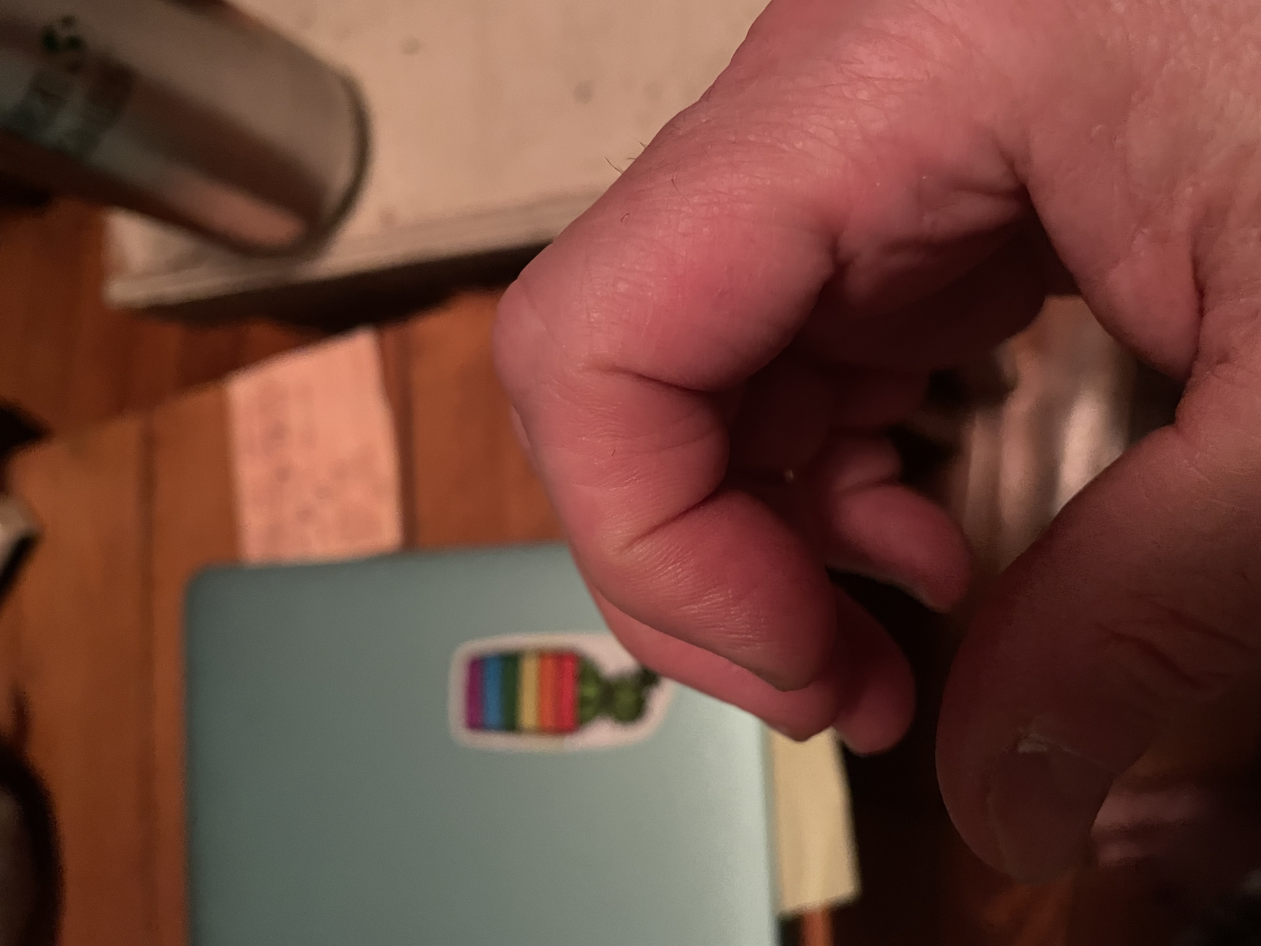 IMG%200543%20JPG.jpeg